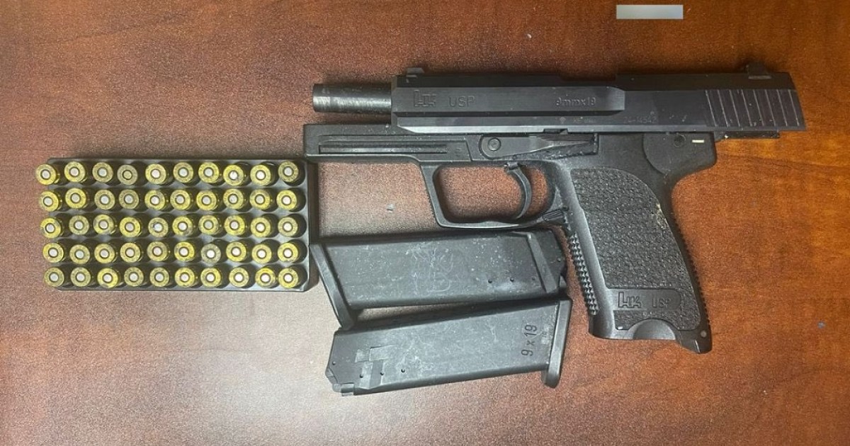 Over 90 weapons turned in under Gun Amnesty, says PM - Loop News