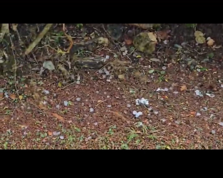Watch: Hail falls in Mandeville, Manchester