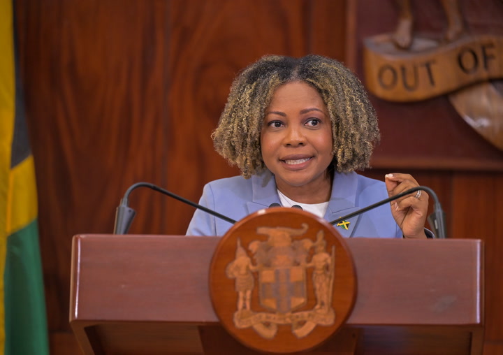 Watch: Gov’t defends FID appointment amid opposition criticism