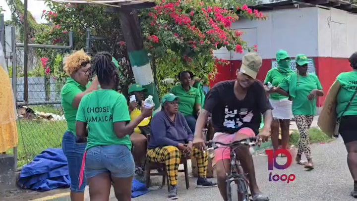 JLP supporters protest following North East St Andrew decision